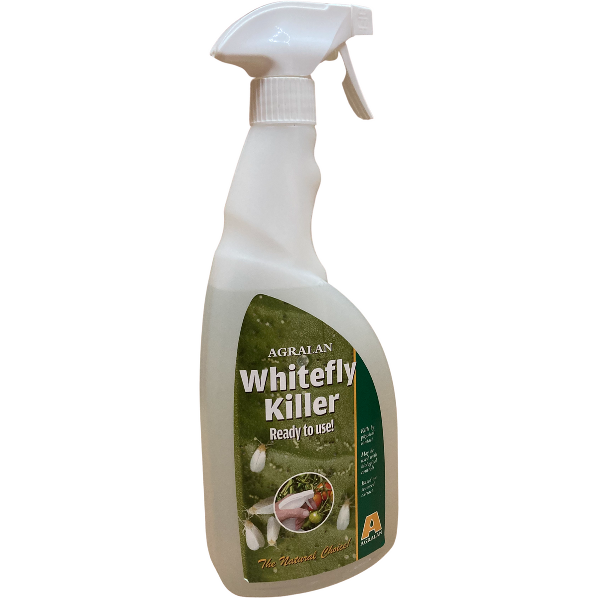 Whitefly Killer - Natural Whitefly Control – Pest Free Gardening