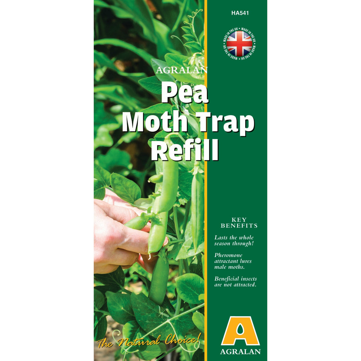 Pea Moth Trap & Refill Set Pest Free Gardening