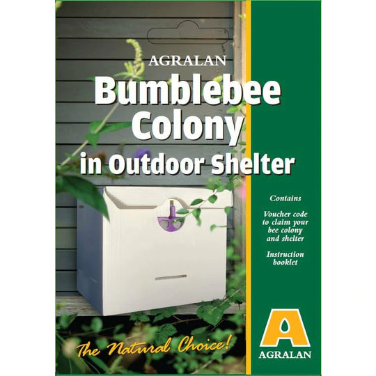 Bumblebee Colony & Shelters