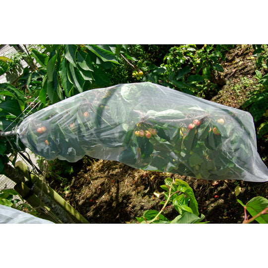 Agralan Fine Insect Mesh Fruit Tree Sleeves