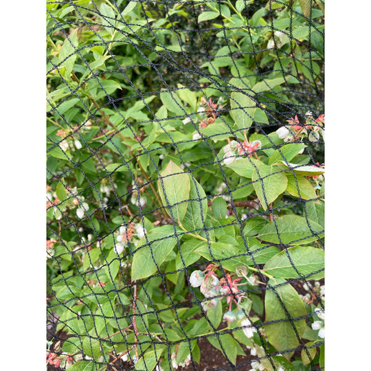 Bird Netting 22mm, 4m Width