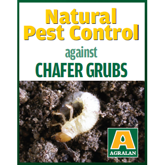 Chafer Grub Control with Heterorhabditus