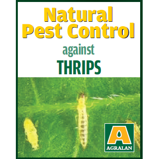 Thrip Control with ABS System