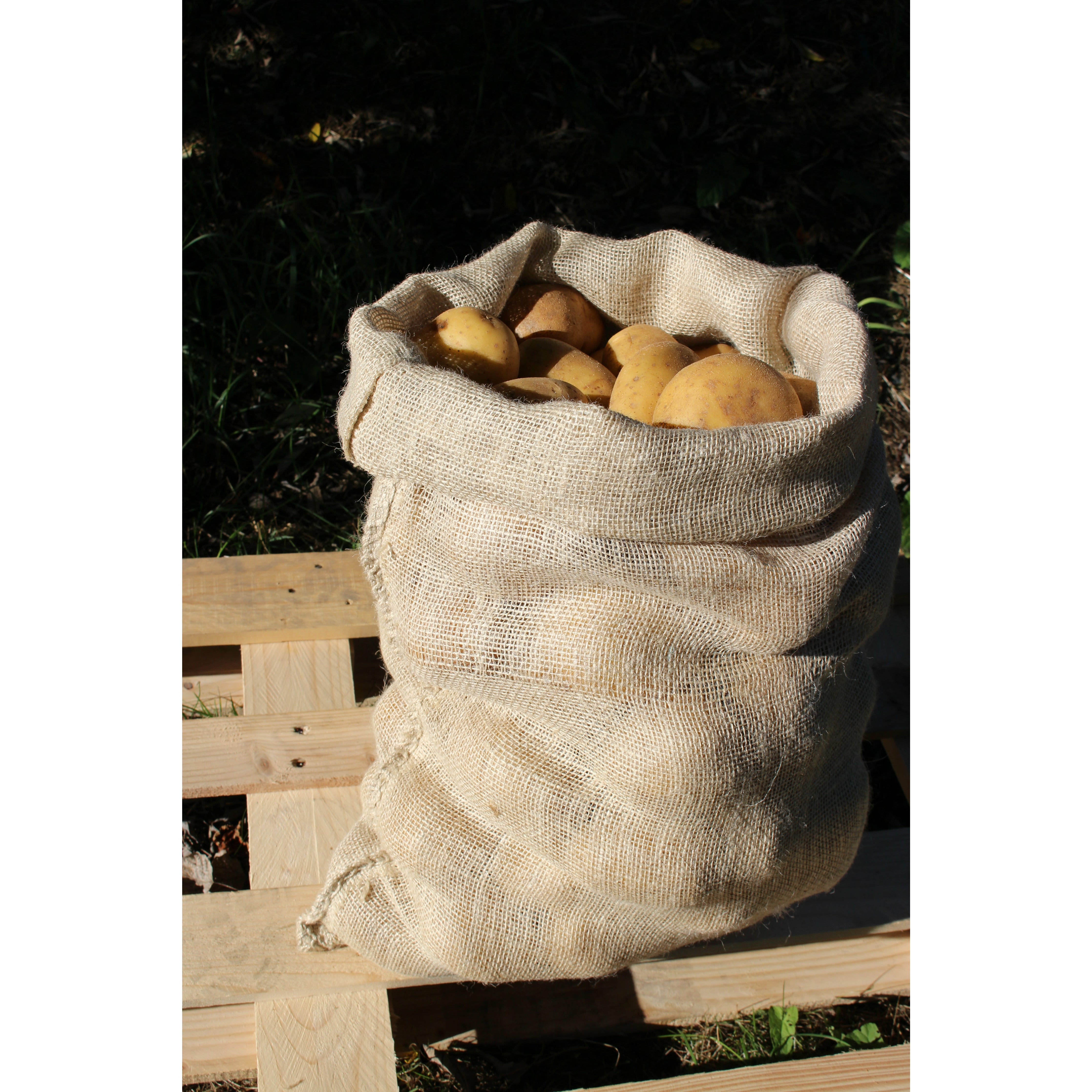 Sack Of Potatoes Potato Sack Heavy Duty Paper 25kg – Ideal Sacks For
