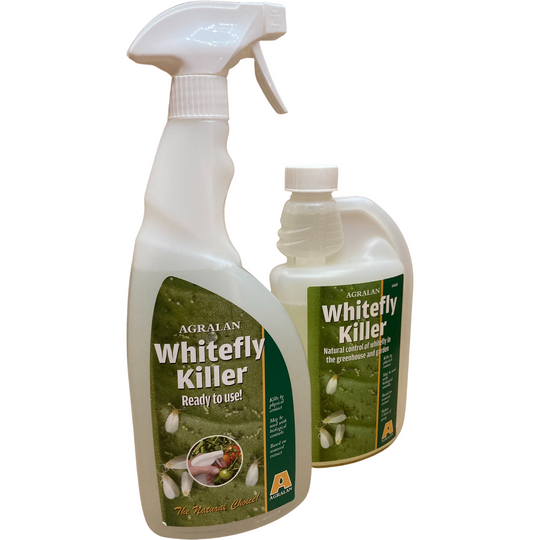Whitefly Killer - Natural Whitefly Control