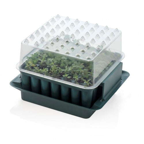 Agralan Plug Plant Trainer Propagator