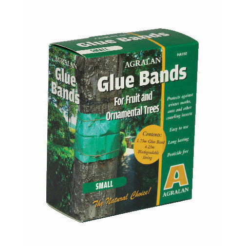 Glue Bands