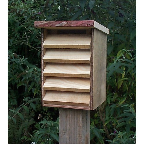 Lacewing Chamber & Attractant