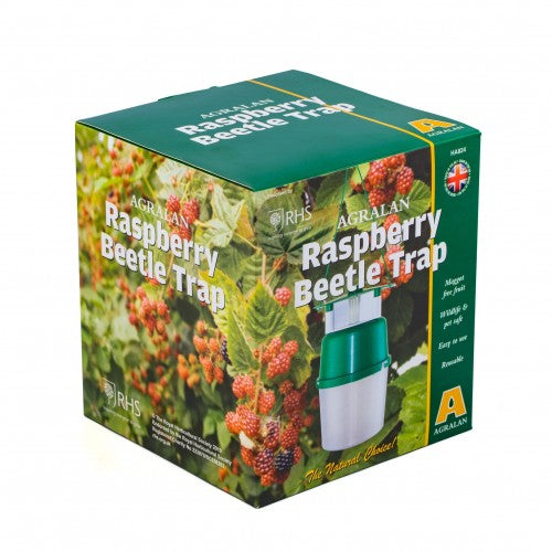 Raspberry Beetle Traps & Refills